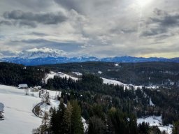 Untertreidner